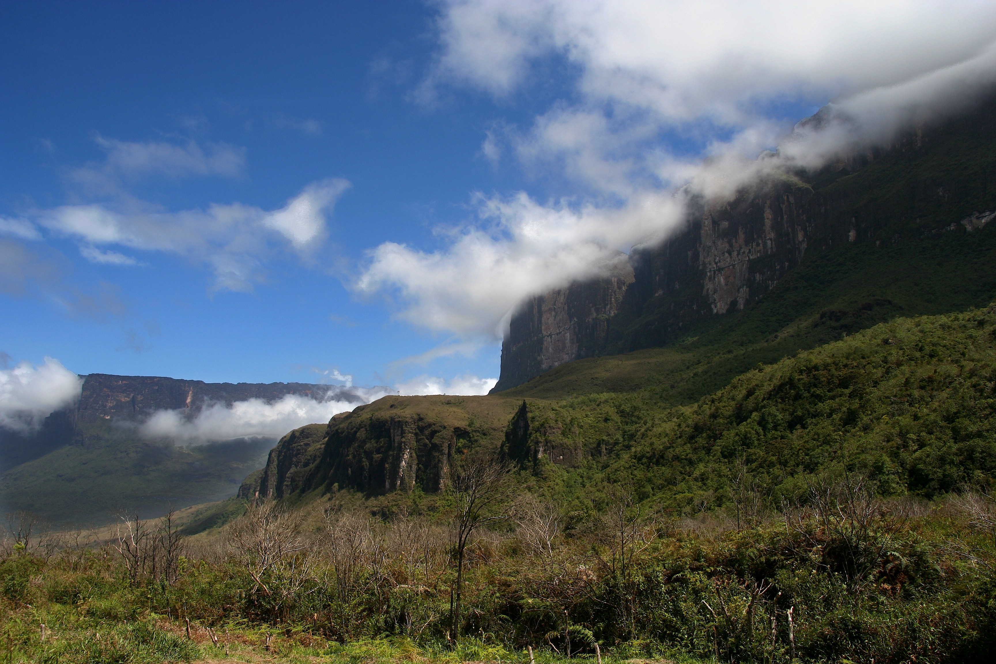 Guyana