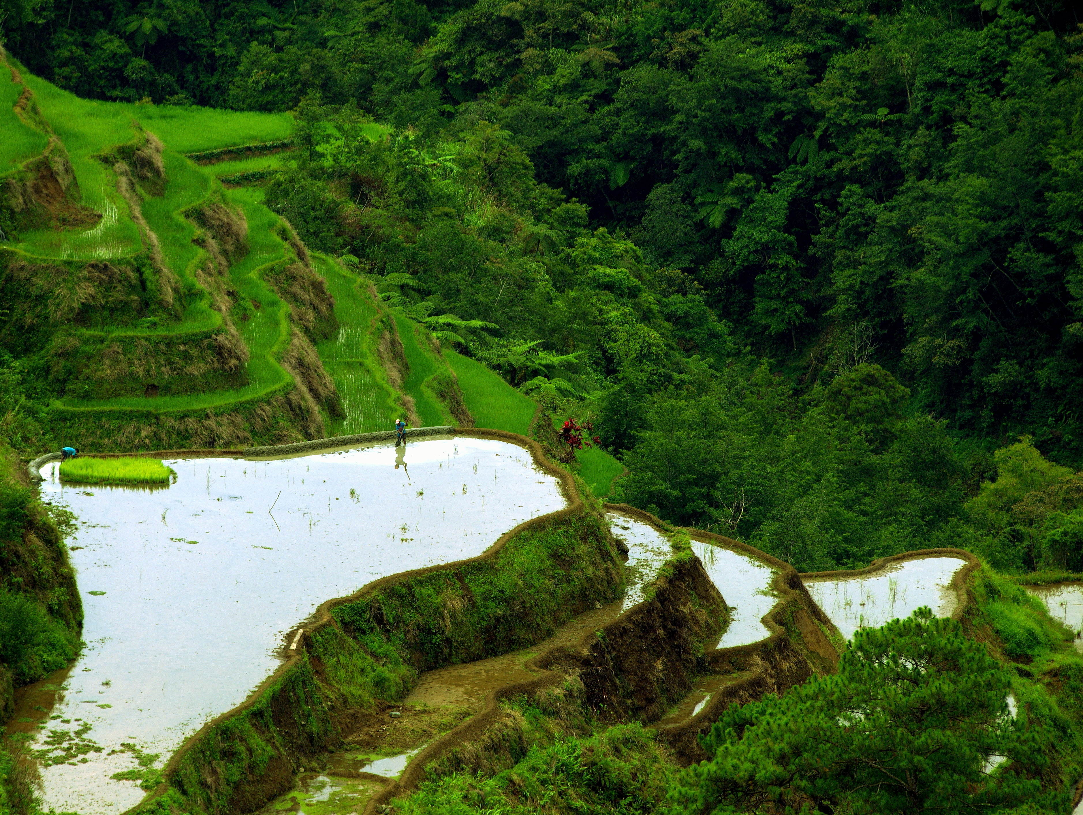 Phillipines