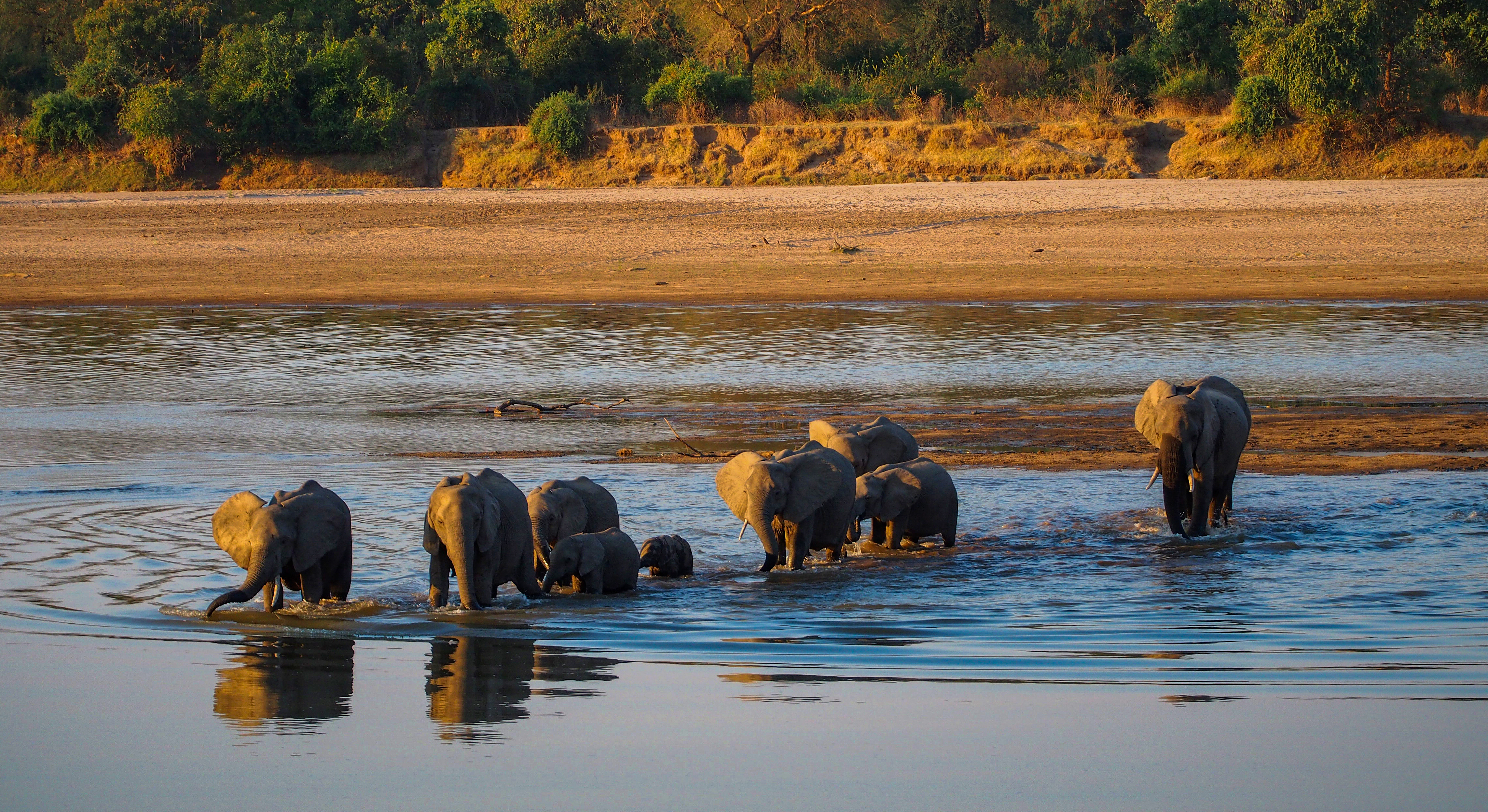 zambia